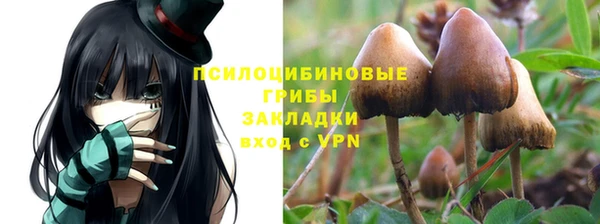 соль курить ск Алексеевка