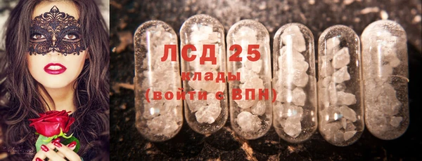 PSILOCYBIN Алексин