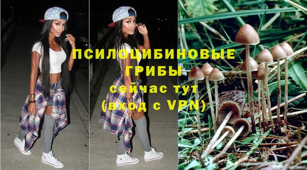 соль курить ск Алексеевка