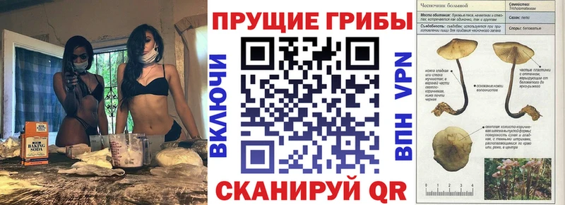 Псилоцибиновые грибы MAGIC MUSHROOMS  маркетплейс наркотические препараты  Гаджиево 